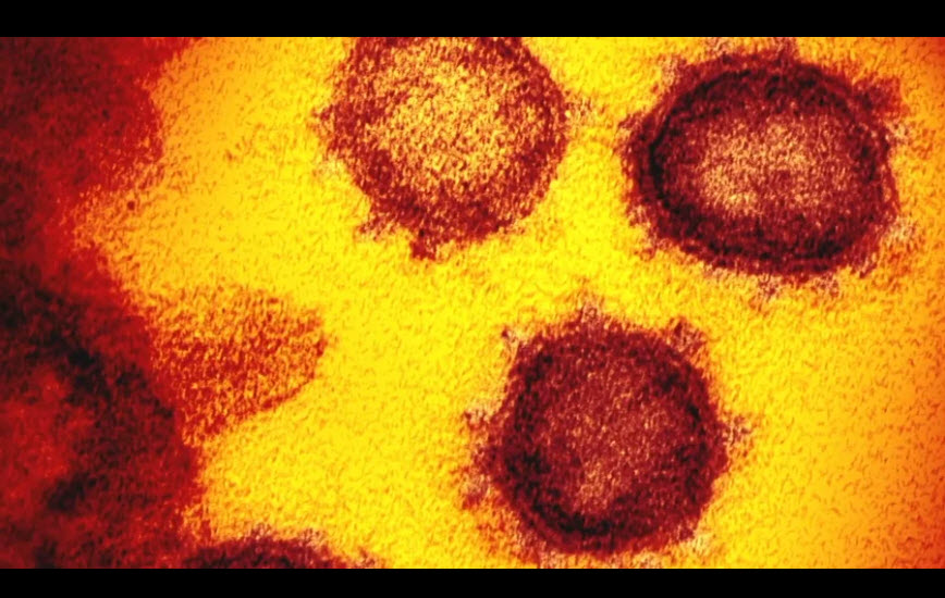 New Evidence That Viruses are Friends, not Enemies. Really! 4.8 (61)